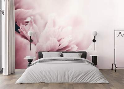 Peony flowers close-up, soft focus. Gentle floral background Wall mural