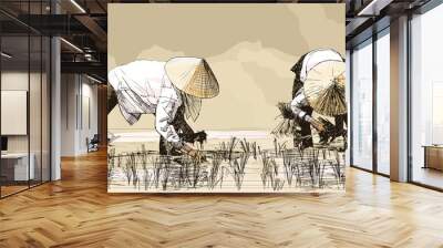 two women harvesting rice in asia Wall mural