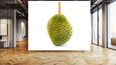 Durian isolated on white background Wall mural