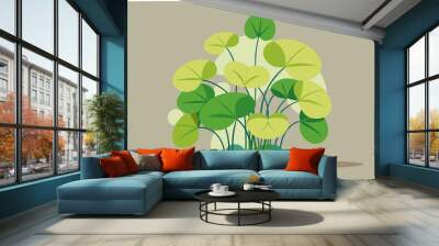 Water Creeping Jenny plant vector art illustration Wall mural