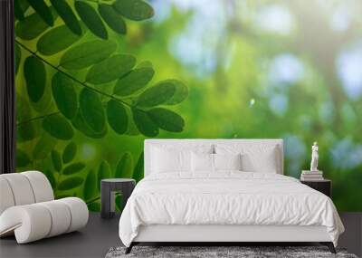 green tree leaves and branches in the nature in summer, green background Wall mural