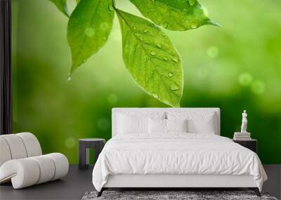 green tree leaves and branches in the nature in summer, green background Wall mural