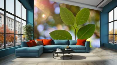 green tree leaves and branches in the nature in summer, green background Wall mural