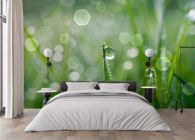 raindrop on the green grass in rainy days, green and bright background Wall mural