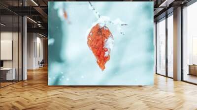 snow on the red leaves in winter season Wall mural