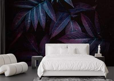 the colorful leaves Wall mural