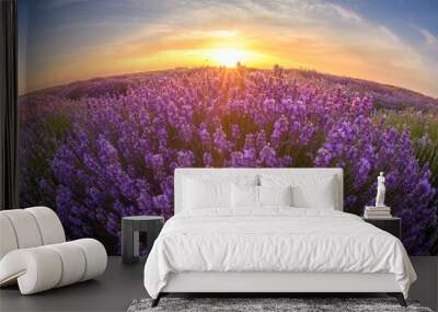 Lavender Wall mural