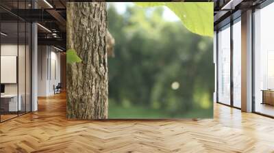 teak tree trunk on green forrest background Wall mural