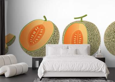 Cantaloupe melon, fruit vector illustration 10	 Wall mural