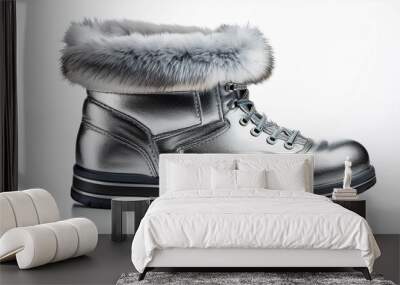 pair of winter boots Wall mural