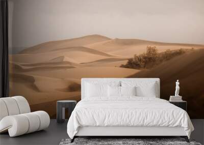 sand dunes in the desert Wall mural