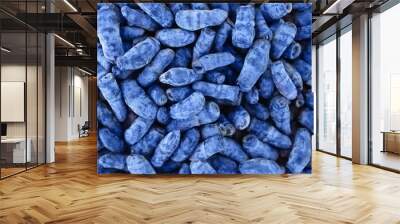 Ripe and juicy honeysuckle berries close up. Textured blue background. The concept of natural nutrition and a healthy lifestyle. Wall mural