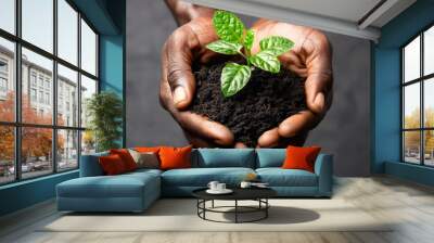 An inspiring image focusing on a pair of black hands nurturing a young green plant in a clump of rich soil Wall mural