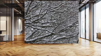 Branches of trees covered with snow in winter 2 Wall mural