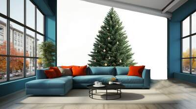 christmas tree isolated  Beautiful christmas tree isolated on white background   studio shot Wall mural