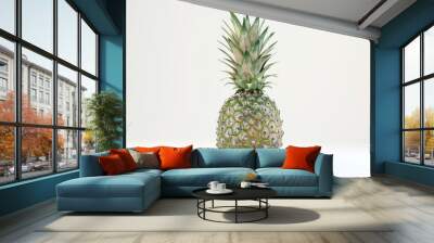 Pineapple isolated  Pineapple isolated on white background. Pineapple collection. Wall mural