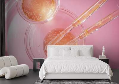 Two pipettes with different samples of gels cosmetic products in petri dish on pink background Wall mural