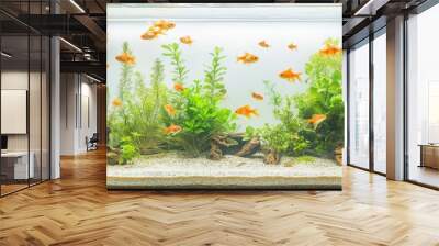 An aquarium filled with goldfish and aquatic plants in a serene underwater environment. Wall mural