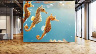 Three seahorses swimming in blue water. Wall mural