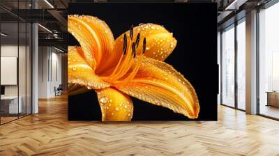 Beautiful yellow lily flower in the garden on a green background Wall mural