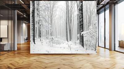 Snow-covered trees in a misty winter landscape with fresh tracks on the ground. Wall mural