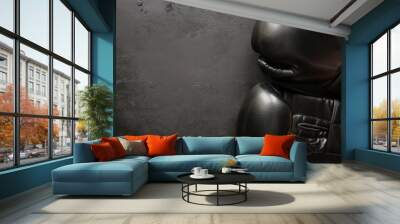 Boxing gloves on a black background Wall mural