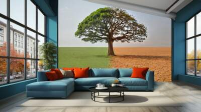 concept drought, climate change. tree before and after drought. ecology, environment, environmental protection Wall mural