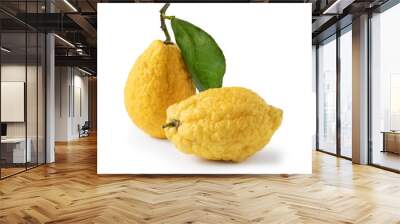 Sicilian Citron - Isolated on White Background Wall mural