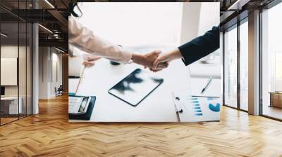 Business partnership meeting concept. Image business women handshake. Successful business people handshaking after good deal. Group support concept. Wall mural