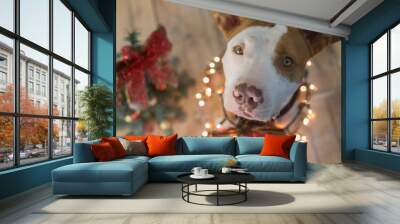 Pitbull en navidad  Wall mural