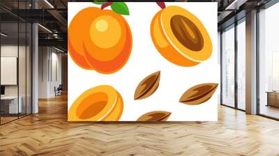 Fresh Apricot Fruit and Seeds Illustration Wall mural