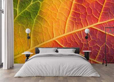 Macro Perspective of Maple Leaf Veins in Fall Colors Wall mural