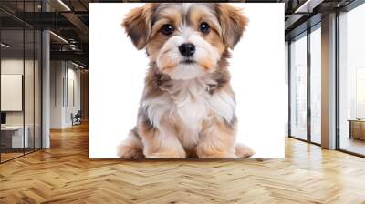 puppy Wall mural