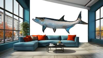 Tarpon fish mount with isolated white background Wall mural