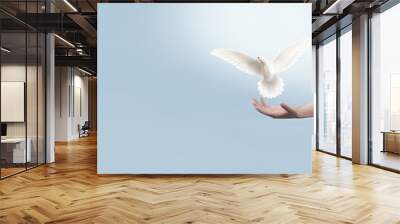 White dove flying out of hand on blue background. 3D rendering image. Wall mural