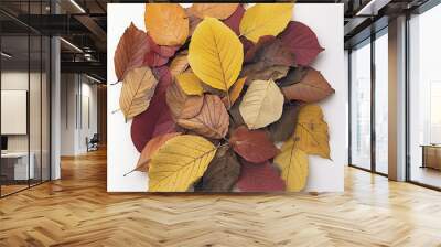 Colorful autumn leaves arranged in a flat lay composition Wall mural