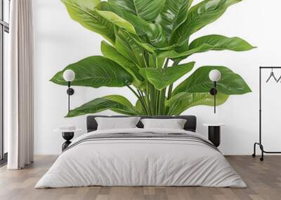 Lush artificial plant in a modern white pot Wall mural