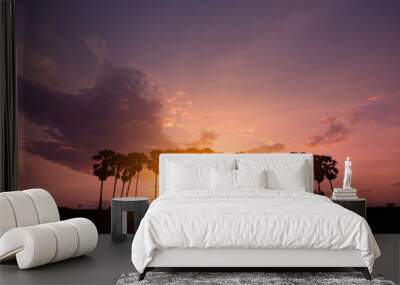 Palm tree with beautiful sunset or sunrise background Wall mural