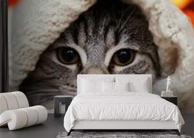 Cozy cat wrapped in a warm blanket, nestled by a glowing fire. Wall mural