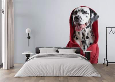 Dalmatian dog in red sweatshirt sits on white background. Dog head is covered by hood. Pet photography. Determined strongly. Copy space Wall mural