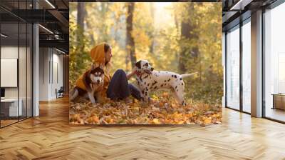 Happy young woman sitting in the autumn forest with two dogs. Two Companion Dogs out for a Walk. Dalmatian and siberian husky out for a walk Wall mural