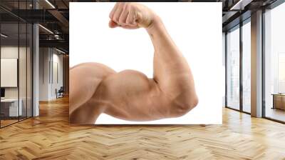 Close up on a bodybuilder biceps,shoulder,arm Wall mural