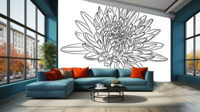 Flowers in black line isolated on white background. Floral elements in contour style with Japanese national flower chrysanthemum for summer design and coloring book. Wall mural