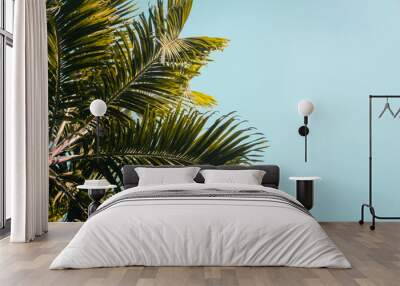 Green palm trees against clear blue sky. Minimal. Copyspace Wall mural