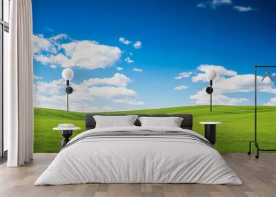 Landscape, field, sky.Windows screensaver. copy space Wall mural