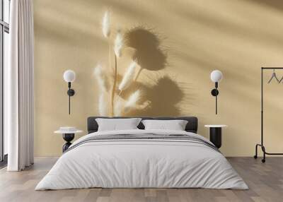 Dried bunny tail grass on natural beige background. Wall mural