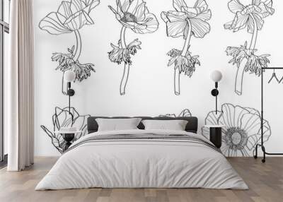 Sketch Floral Botany Collection. Anemone flower and leaves  drawings. Line art on white backgrounds. Hand Drawn Botanical Illustrations. Wall mural