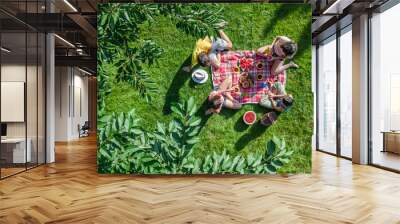 Happy family having picnic in park, parents with kids sitting on grass and eating healthy meals outdoors, aerial drone view from above, family vacation and weekend concept
 Wall mural