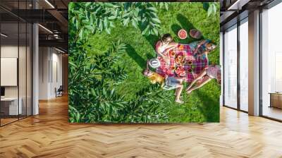 Happy family with children having picnic in park, parents with kids sitting on garden grass and eating healthy meals outdoors, aerial drone view from above, family vacation and weekend concept Wall mural