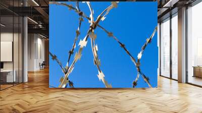 barbed wire against the blue sky Wall mural